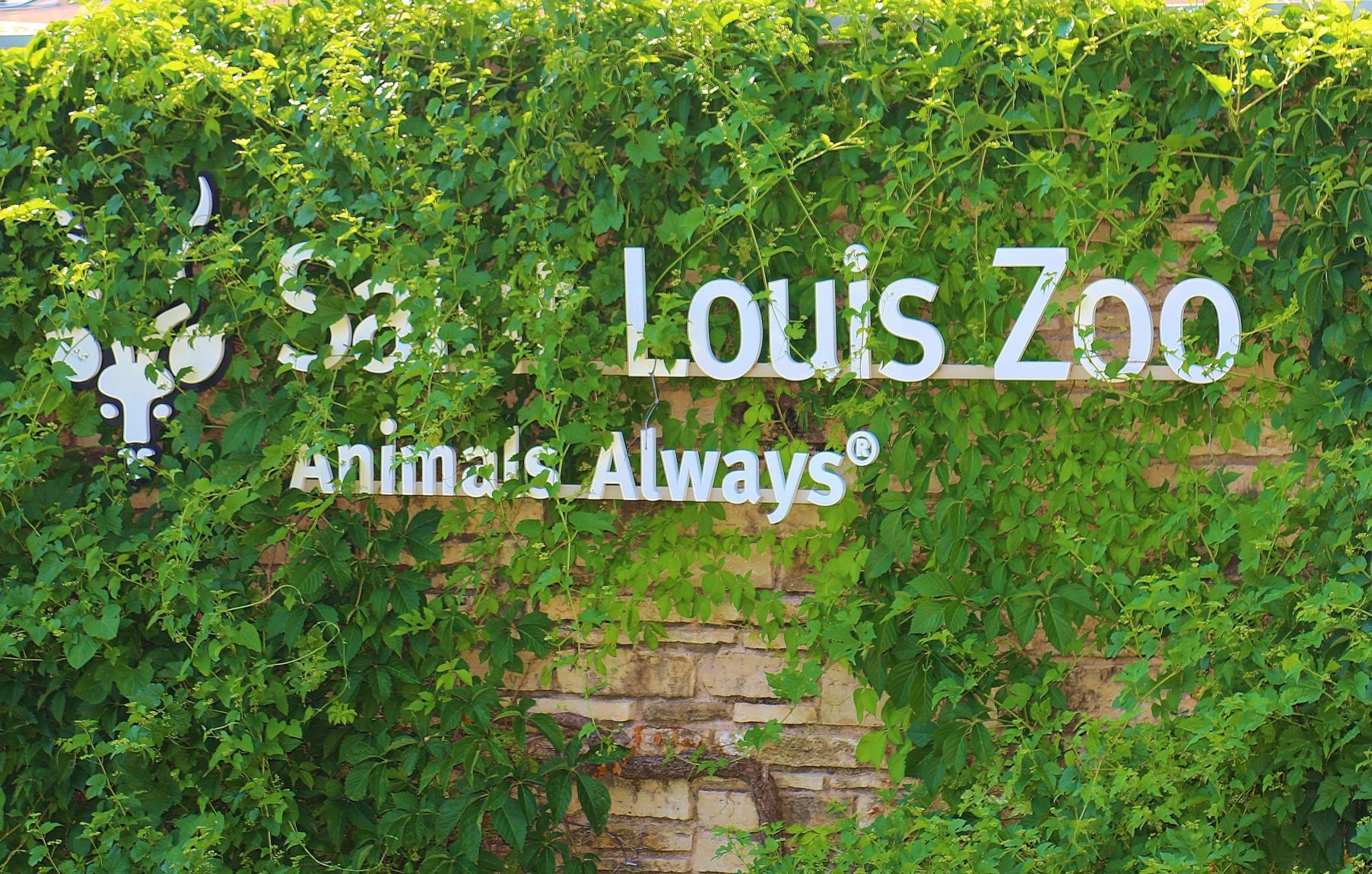 2018-Zoo-Ado-001.JPG